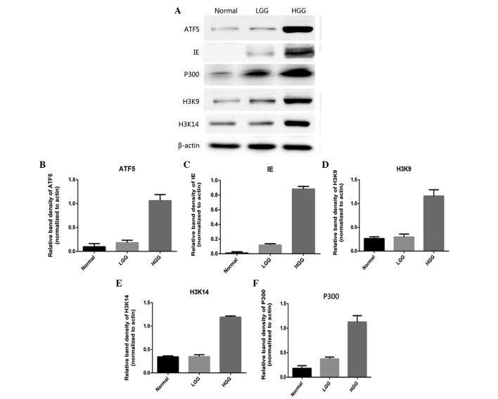 Figure 3.