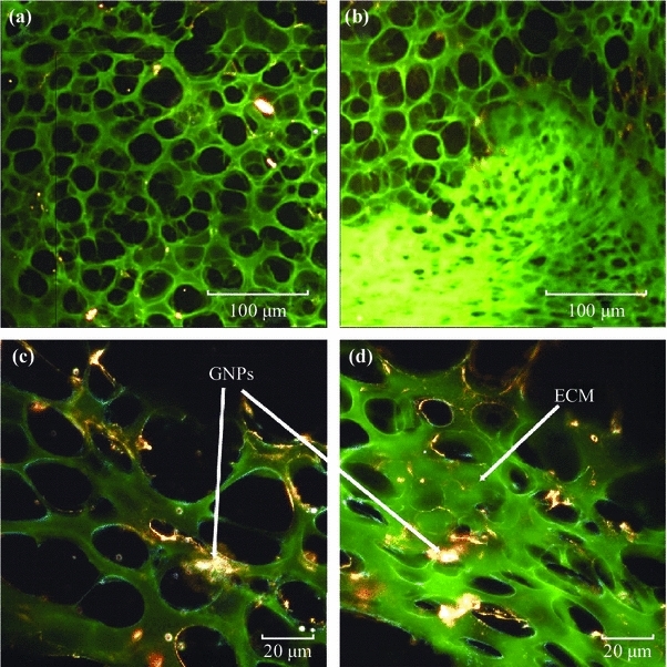 Fig. 6