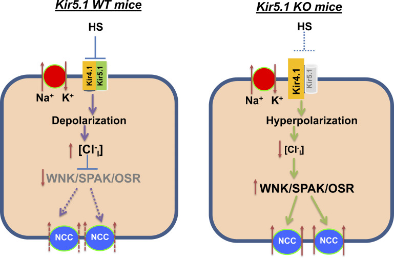 Figure 10.