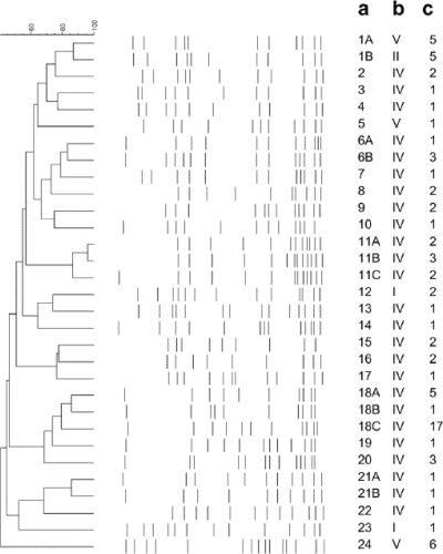 FIG. 2.