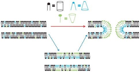 Fig. 1.