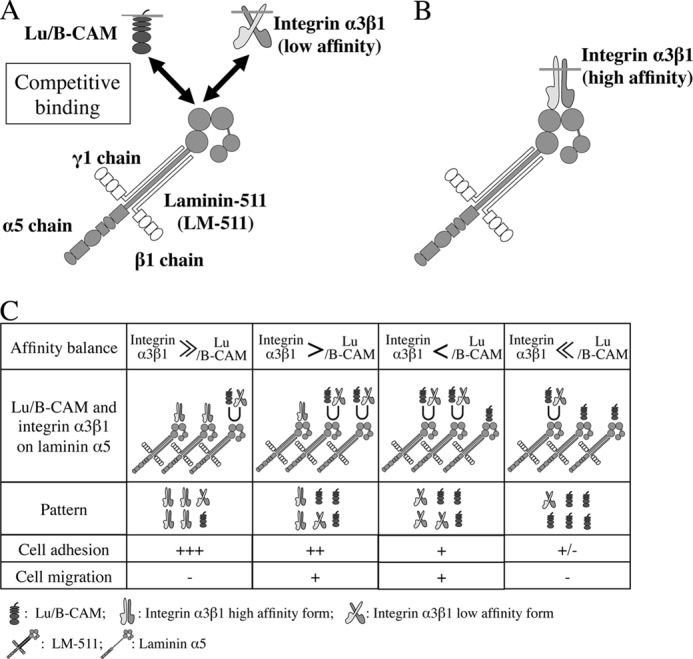 FIGURE 9.