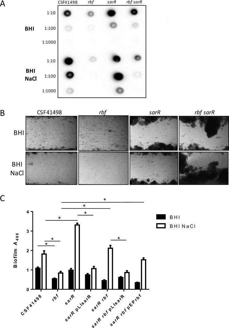 FIG 4