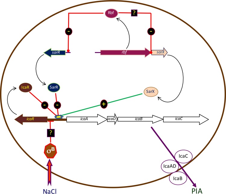 FIG 6