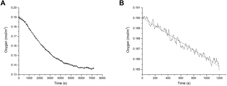 Fig 5