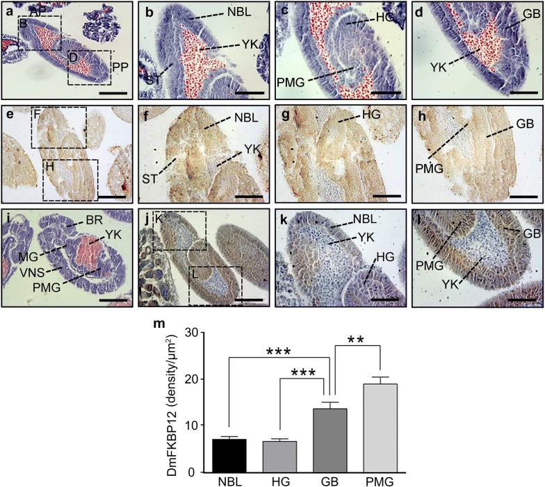 Fig. 4