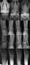 Fig. 4