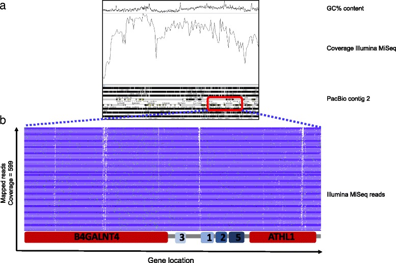 Fig. 2