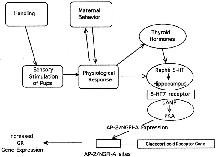 Fig. 10.