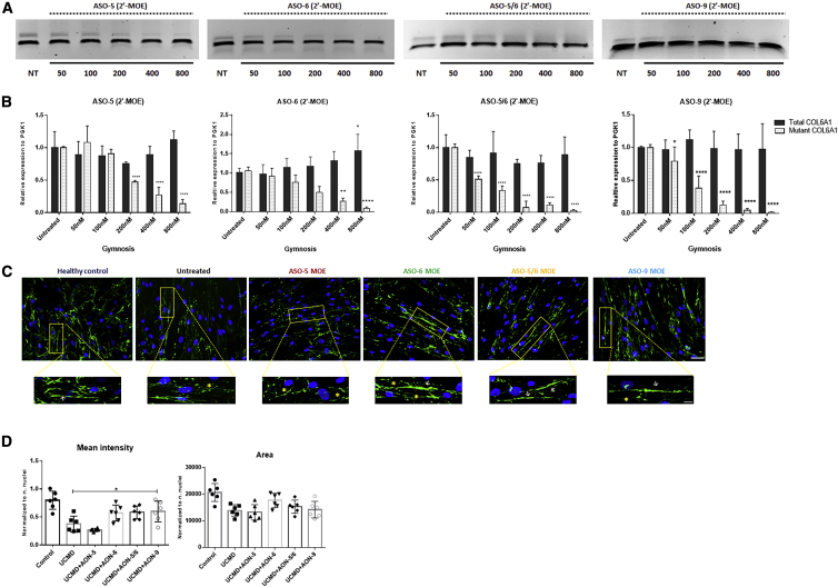 Figure 6