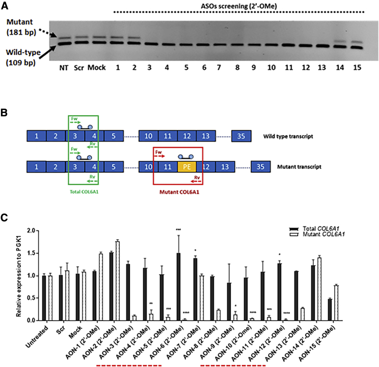 Figure 2