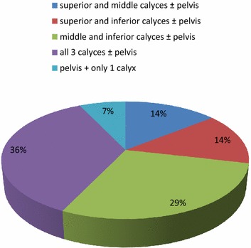 Fig. 6