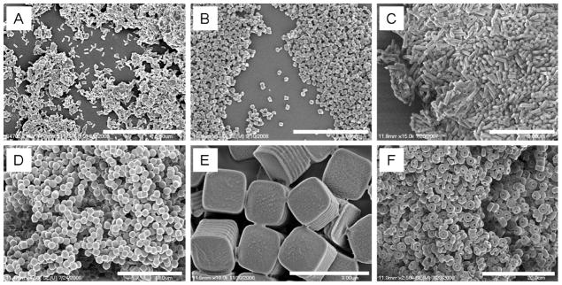 FIGURE 3