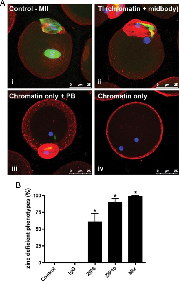 Figure 5