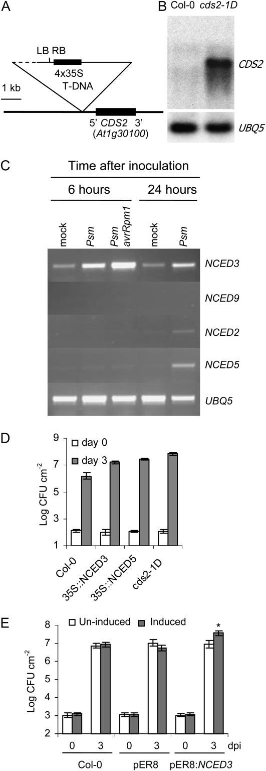 Figure 3.