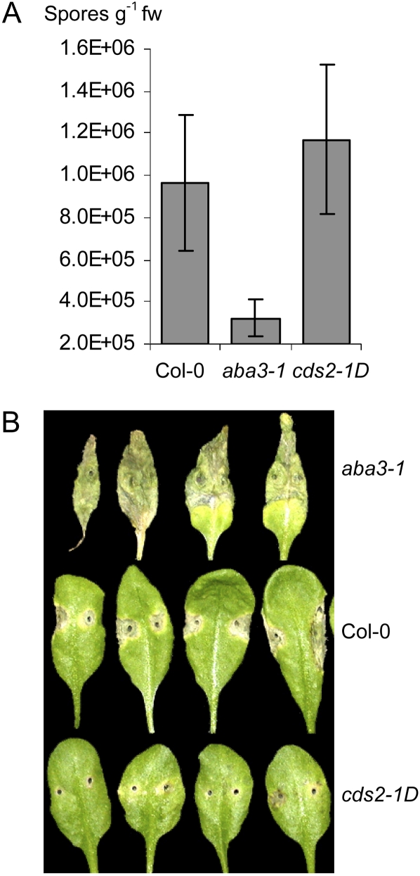 Figure 6.