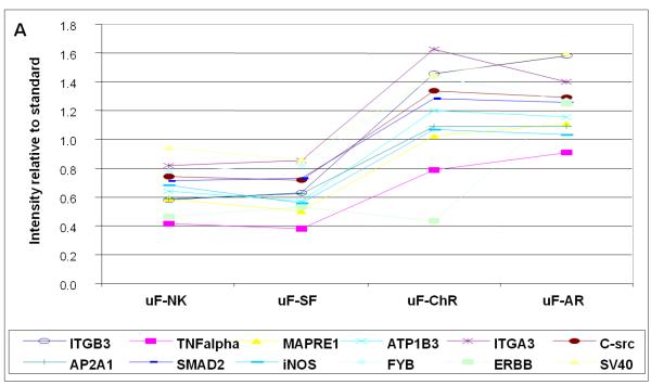 Figure 3A