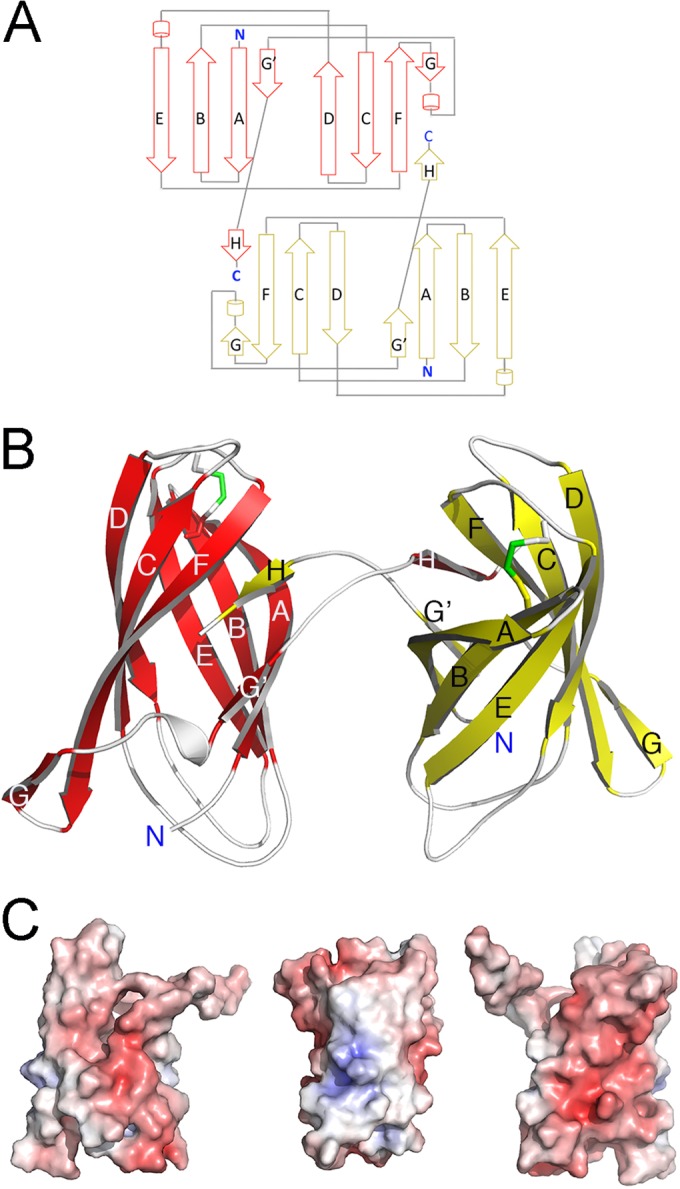 FIG 4 