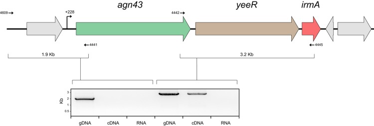 FIG 3 