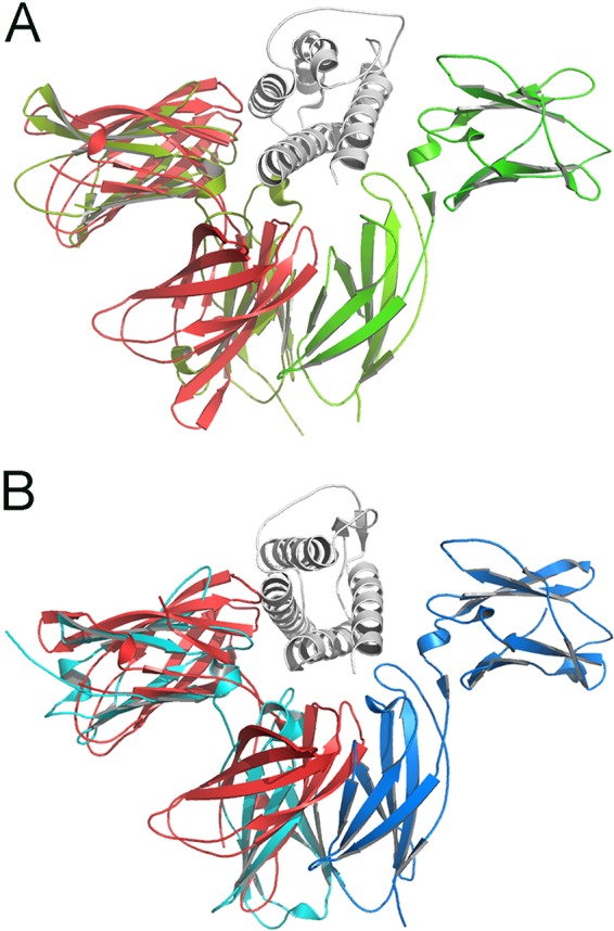 FIG 5 