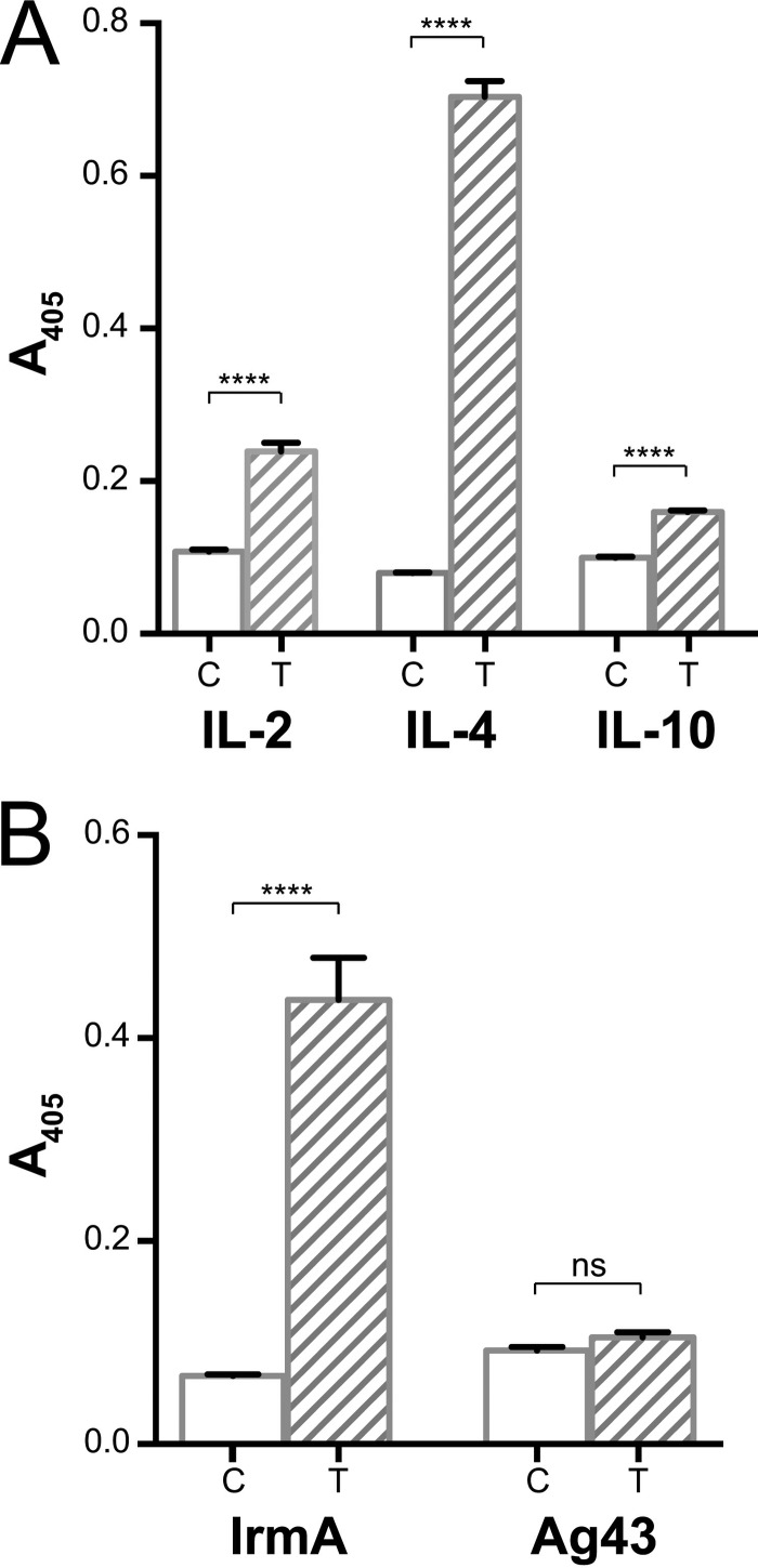 FIG 6 