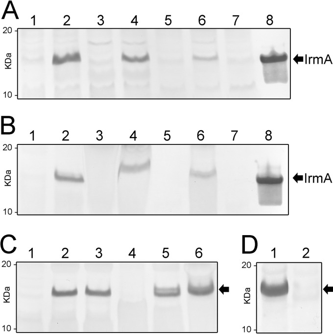 FIG 2 