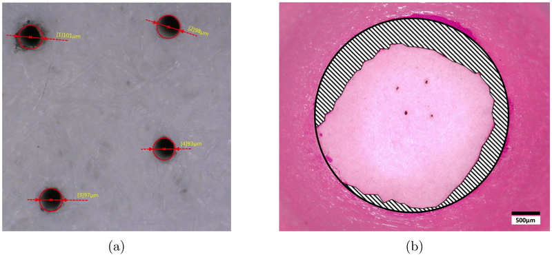 Figure 3: