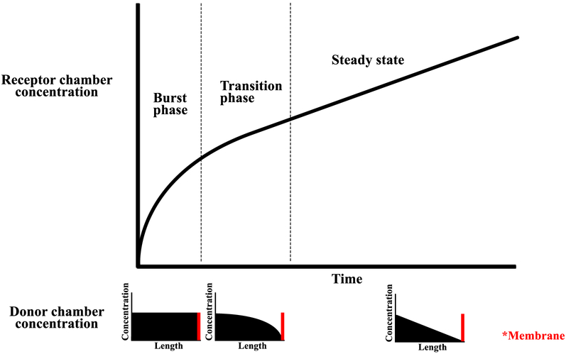 Figure 6: