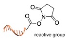 graphic file with name molecules-24-03694-i034.jpg