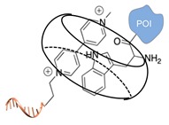 graphic file with name molecules-24-03694-i045.jpg