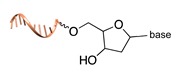 graphic file with name molecules-24-03694-i031.jpg