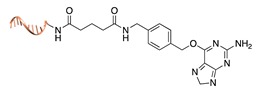 graphic file with name molecules-24-03694-i016.jpg