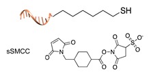 graphic file with name molecules-24-03694-i001.jpg