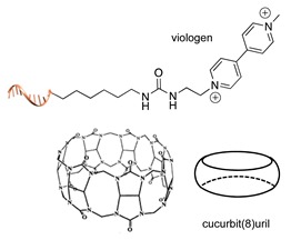 graphic file with name molecules-24-03694-i043.jpg