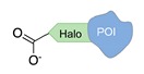 graphic file with name molecules-24-03694-i020.jpg