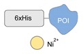 graphic file with name molecules-24-03694-i050.jpg