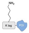 graphic file with name molecules-24-03694-i026.jpg