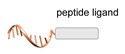 graphic file with name molecules-24-03694-i055.jpg