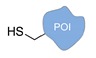 graphic file with name molecules-24-03694-i005.jpg