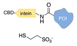 graphic file with name molecules-24-03694-i023.jpg