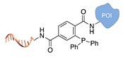 graphic file with name molecules-24-03694-i015.jpg