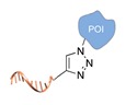 graphic file with name molecules-24-03694-i009.jpg