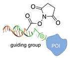 graphic file with name molecules-24-03694-i035.jpg