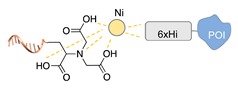 graphic file with name molecules-24-03694-i051.jpg