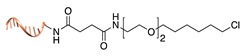 graphic file with name molecules-24-03694-i019.jpg