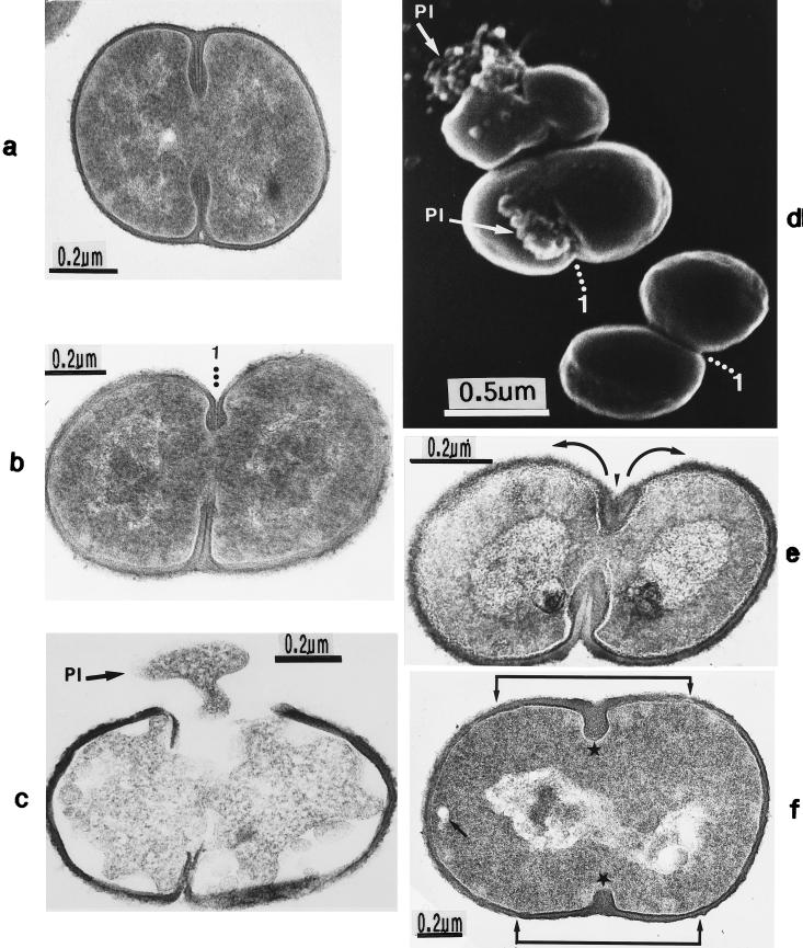 FIG. 24