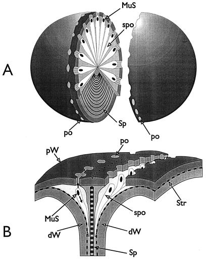 FIG. 12