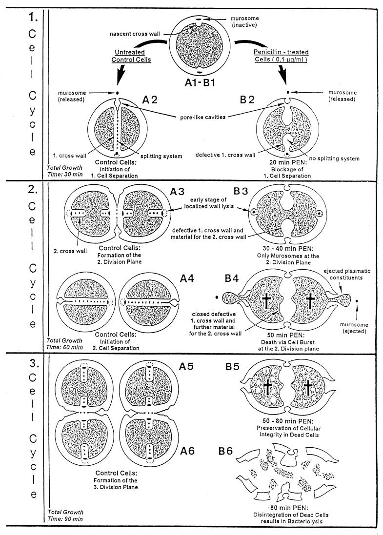 FIG. 21