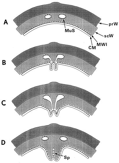 FIG. 7