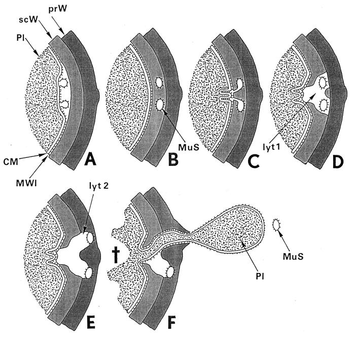 FIG. 22